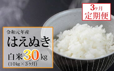 【ふるさと納税】FY20-147 山形産米定期便はえぬき30kg(10kg×3ヶ月)