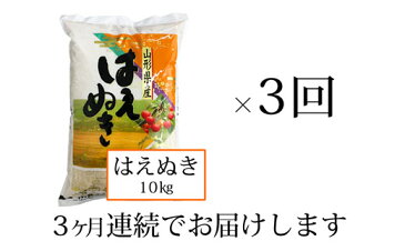 【ふるさと納税】FY20-147 山形産米定期便はえぬき30kg(10kg×3ヶ月)