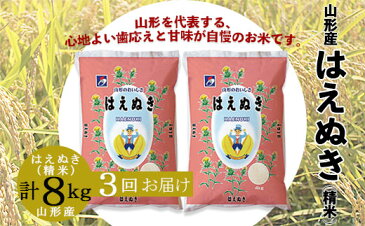 【ふるさと納税】FY20-166 【3ヶ月連続】山形産はえぬき(精米)8kg(4kg×2袋)×3回