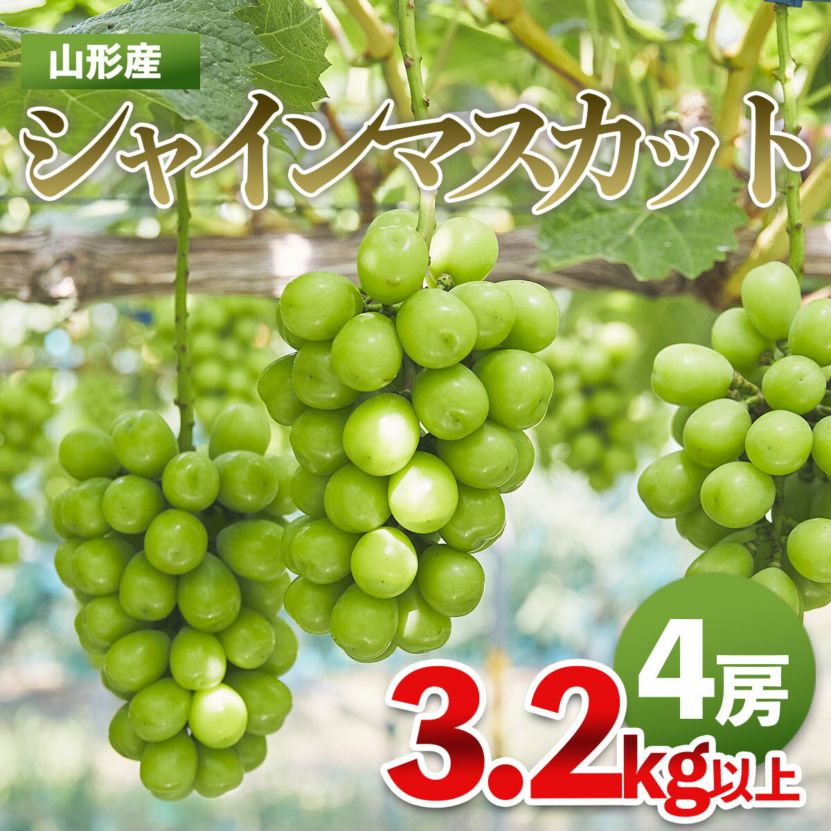 ぶどう フルーツ シャインマスカット 山形市産 ブドウ 送料無料 果物 たっぷり 山形県 ふるさと納税 Fy21 7 Fy21 7 ふるさと納税 シャインマスカット 秀3 2kg以上 4房 山形県山形市 農家直送 山形市産