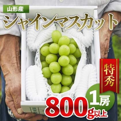 山形市産 シャインマスカット 特秀 1房 800g以上 FY22-402 fz21-209 fz22-399