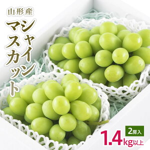 【ふるさと納税】山形市産 シャインマスカット 秀 2房 1.4kg以上 【令和6年産先行予約】FU18-232 フルーツ くだもの 果物 お取り寄せ 先行予約