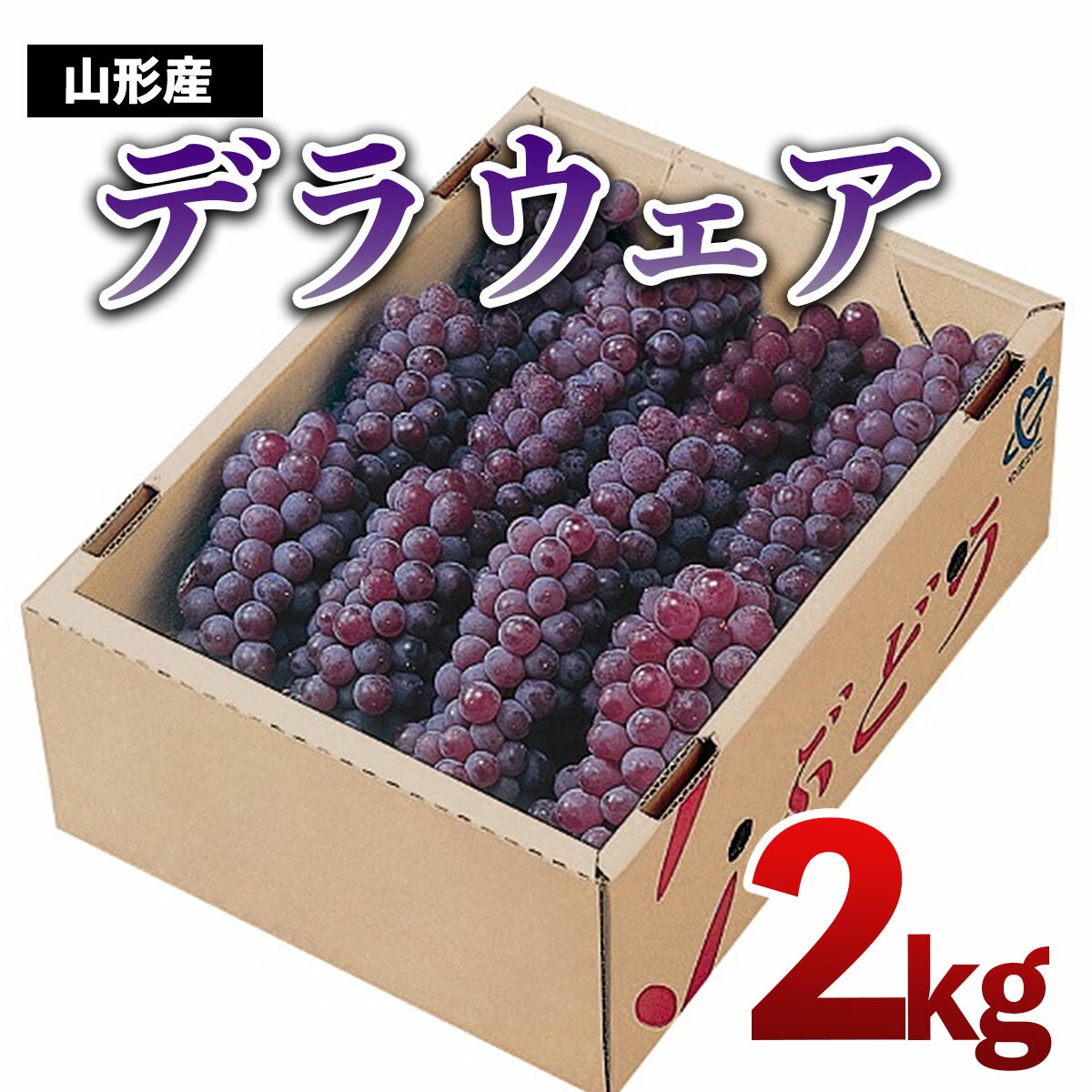 【ふるさと納税】山形市産　デラウェア 2kg(8～16房) 