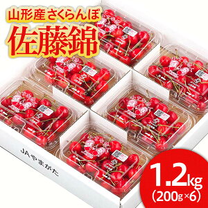 【ふるさと納税】山形市産 さくらんぼ 佐藤錦 L以上 1.2kg(200g×6パック)バラ詰め 【令和6年産先行予約】FS23-902 フルーツ くだもの 果物 お取り寄せ 先行予約