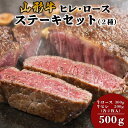 【ふるさと納税】山形牛ヒレ・ロースステーキセット (2種) 500g fz18-480 山形 お取り寄せ 送料無料 ブランド牛