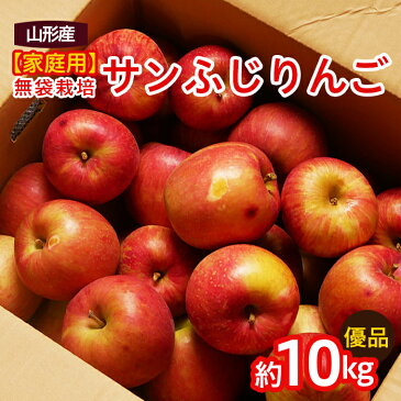 【ふるさと納税】FY20-579 【家庭用】無袋栽培 サンふじりんご 優品 約10kg入り