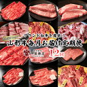 【ふるさと納税】【定期便12回】ブランド和牛を堪能!山形牛毎月お届け定期便 FY20-776 山形 お取り寄せ 送料無料 ブランド牛