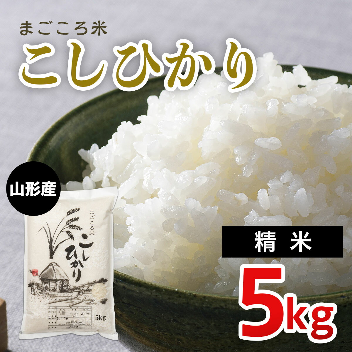 まごころ米こしひかり 5kg FZ20-783 山形 お取り寄せ 送料無料