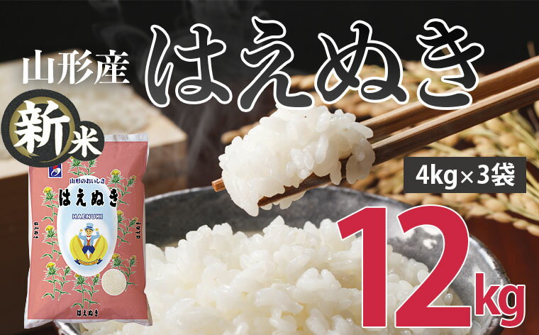 【ふるさと納税】【令和5年産新米先行予約】山形産 はえぬき(精米)12kg(4kg×3袋) FS21-097のサムネイル