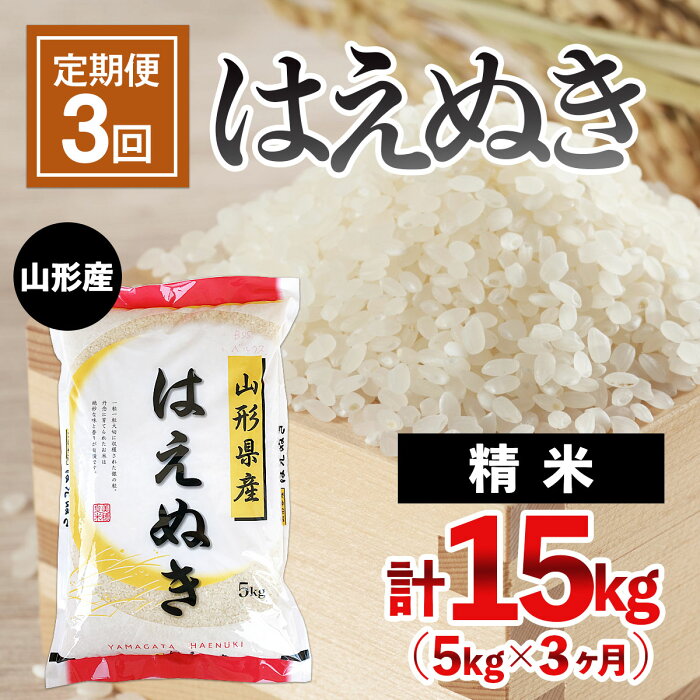 【ふるさと納税】FY21-329 【定期便3回】山形産 はえぬき 5kg×3ヶ月(計15kg)