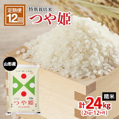 【ふるさと納税】FY21-331 【定期便12回】山形産 特別栽培米 つや姫 2kg×12ヶ月(計24kg)
