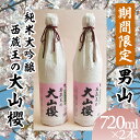 【ふるさと納税】『期間限定』男山 純米大吟醸 西蔵王の大山櫻 720ml×2本【令和8年3月中旬~発送】 fz22-919
