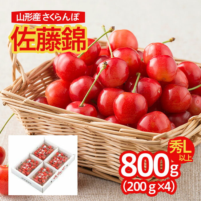 さくらんぼ 佐藤錦 800g(200g×4パック入) L以上 フードパック [令和6年産先行予約]FU22-230 フルーツ くだもの 果物 お取り寄せ 先行予約