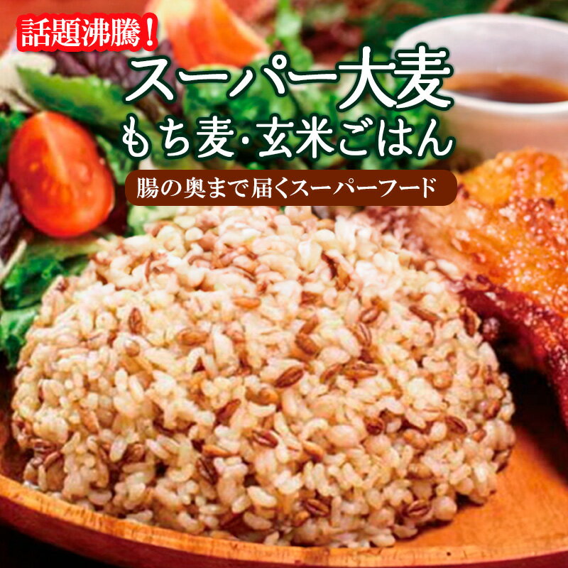 【ふるさと納税】スーパー大麦 もち麦・つや姫 玄米ごはん 150g×12個入 FZ21-065 山形 お取り寄せ 送料無料 ブランド米