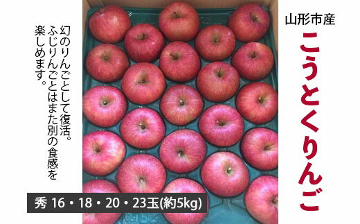 山形市産 こうとくりんご 5kg FZ20-521