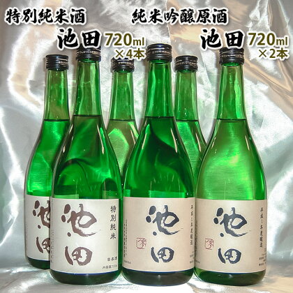 純米吟醸原酒池田 720ml 2本 特別純米酒池田 720ml 4本 合計6本セット FY22-569 山形 お取り寄せ 送料無料