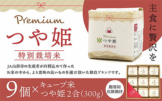 [令和5年産] 「プレミアムつや姫」2合キューブ米9個セット FZ20-585 真空 真空パック 送料無料 小分け 長期保存 便利 つや姫 1年 贈答用 山形 お取り寄せ ブランド米 備蓄 備蓄米