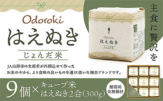 【ふるさと納税】[令和5年産] 「おどろきはえぬき」2合キュ