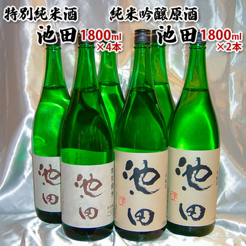 【ふるさと納税】純米吟醸原酒池田 1800ml 2本 特別純米酒池田 1800ml 4本 合計6本セット FY22-570 山形 お取り寄せ 送料無料