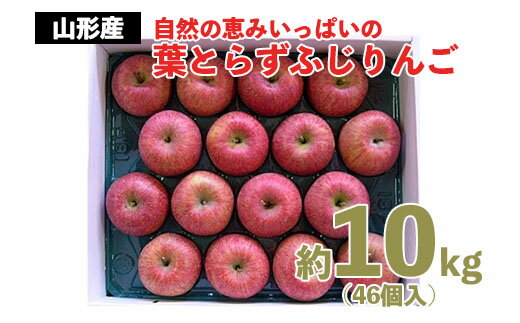 自然の恵みいっぱいの葉とらず ふじりんご 約10kg(46個) fz20-566 リンゴ 林檎 フルーツ 果物 お取り寄せ 送料無料