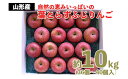 【ふるさと納税】FY22-029 自然の恵みいっぱいの葉とらずふじりんご 約10kg(36個～40個) その1