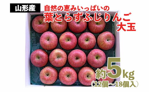 商品説明 名称 葉とらずふじりんご 産地名 山形産 内容量 ふじりんご 秀品 約5kg(12個〜18個入) 発送期間 2024年12月01日頃〜2024年12月31日頃 ※天候や収穫状況により配送時期が前後する場合がございます。 配送方法 ...