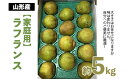 ラフランス 秀品 約5kg fz22-035 ラ・フランス 洋梨 フルーツ 果物 お取り寄せ 送料無料 洋なし 訳あり