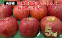 【ふるさと納税】完熟無袋栽培 ふじりんご 特選大玉秀品5kg