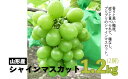 【ふるさと納税】FY20-539 山形産シャインマスカット ...