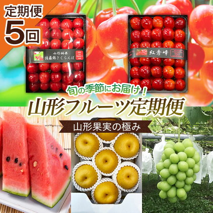 【定期便5回】山形果実の極み 【令和6年産先行予約】FS20-100 フルーツ くだもの 果物 お取り寄せ 先行予約