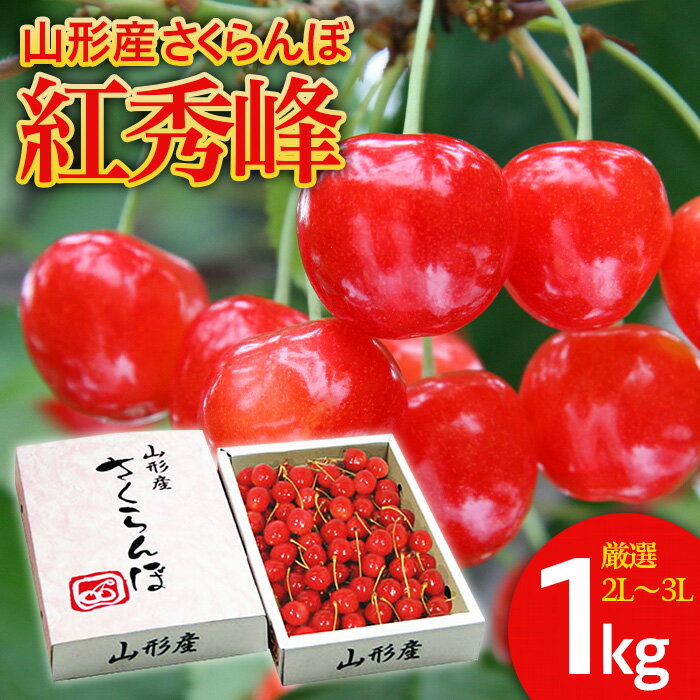 さくらんぼ 紅秀峰 厳選 2L~3L 1kg入り1箱 【令和6年産先行予約】FU20-122 フルーツ くだもの 果物 お取り寄せ 先行予約