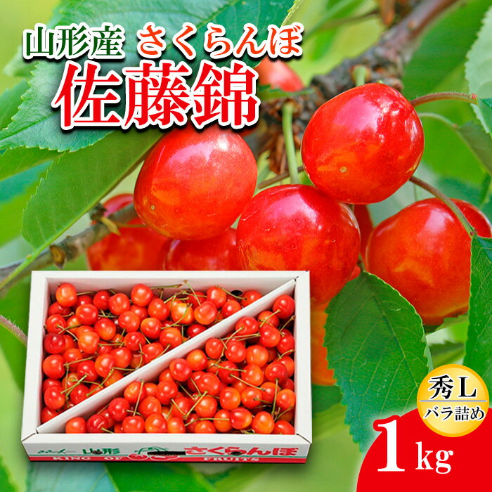 28位! 口コミ数「15件」評価「2.6」さくらんぼ 佐藤錦 L1kg バラ詰め 【令和6年産先行予約】FU20-056 フルーツ くだもの 果物 お取り寄せ 先行予約