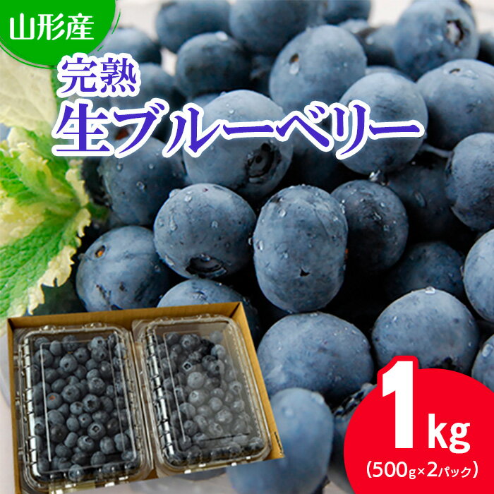 【ふるさと納税】山形の完熟生ブルーベリー 1kg(500g×2パック) 【令和6年産先行予約】FU20-082 フルーツ くだもの 果物 お取り寄せ 先行予約