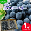 山形の完熟生ブルーベリー 1kg(500g×2パック) FU20-082 フルーツ くだもの 果物 お取り寄せ 先行予約