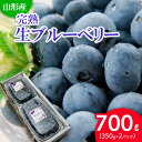 【ふるさと納税】山形の完熟生ブルーベリー 700g(350g×2パック) 【令和6年産先行予約】FU20-080 フルーツ くだもの 果物 お取り寄せ 先行予約 その1