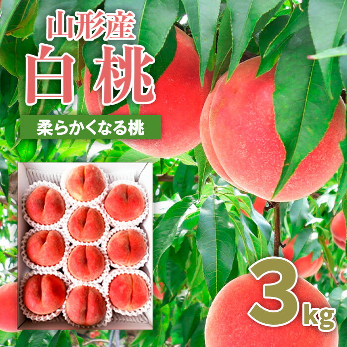 17位! 口コミ数「49件」評価「2.76」山形市産 桃 秀3kg(5～13玉)[柔らかくなる桃] 【令和6年産先行予約】FU20-062 フルーツ くだもの 果物 お取り寄せ 先行予･･･ 