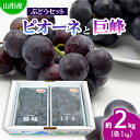 山形のぶどうセット 秀品 約2kg(ピオーネ1kg2房前後・巨峰1kg2房前後)[8月中旬～9月中旬お届け] FU20-573 フルーツ くだもの 果物 お取り...