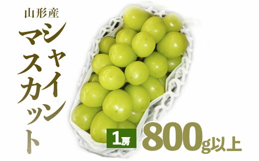 【ふるさと納税】FS20-010 【令和4年産先行予約】シャインマスカット 秀 1房 800g以上[前半]