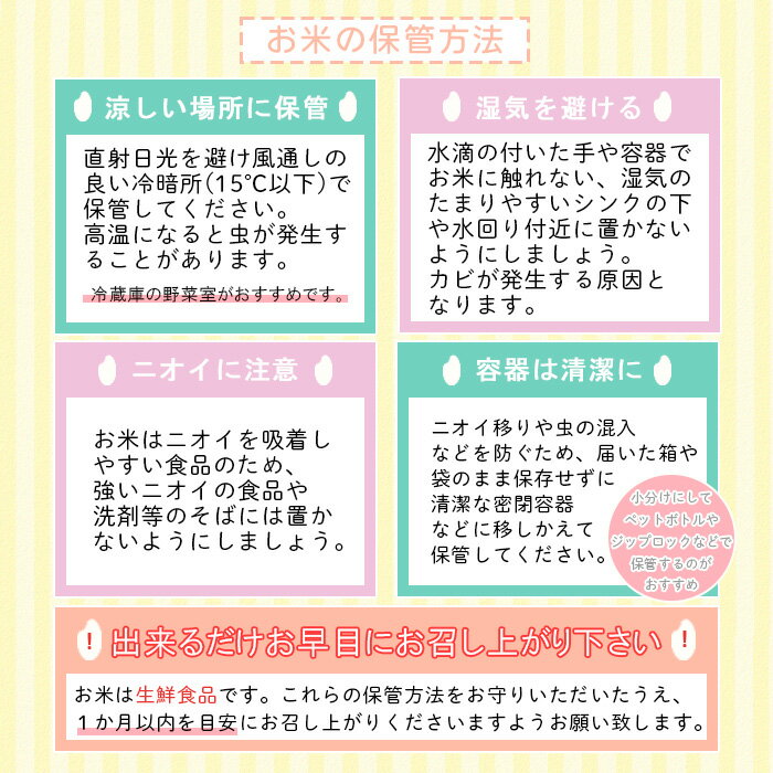 【ふるさと納税】【定期便3回】山形産はえぬき ...の紹介画像3