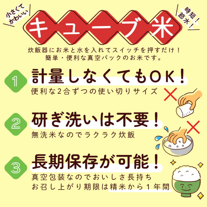 【ふるさと納税】【5ヶ月連続定期便】山形産無洗米キューブ米つや姫(300g×20個)×5回 FY20-387 真空 真空パック 送料無料 小分け 長期保存 便利 つや姫 1年 山形 お取り寄せ ブランド米 備蓄 備蓄米 山形市 山形県 3