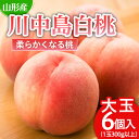 【ふるさと納税】川中島 白桃 秀品 大玉 6個入 1箱 1.