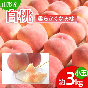 ڤդ뤵Ǽǡۿ͵Ǥ    3kg[餫ʤ] 6ǯͽFU22-745 ե롼  ʪ  ͽ