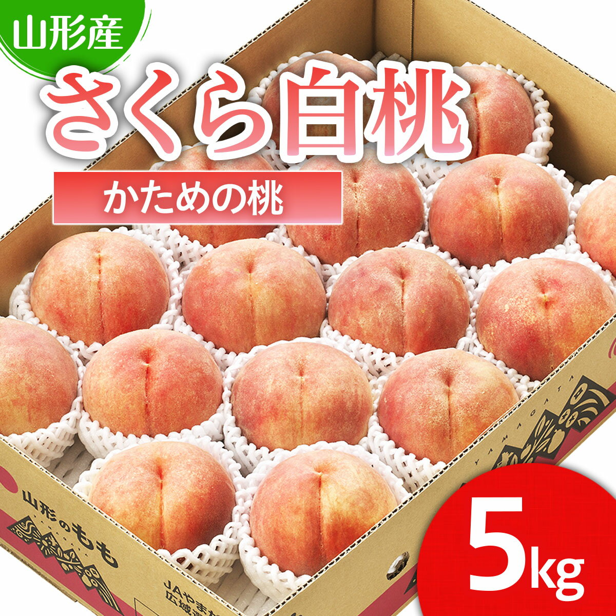 山形市産 桃「さくら白桃」 秀以上 5kg(12玉～16玉)[かための桃] 【令和6年産先行予約】FU22-773 フルーツ くだもの 果物 お取り寄せ 先行予約