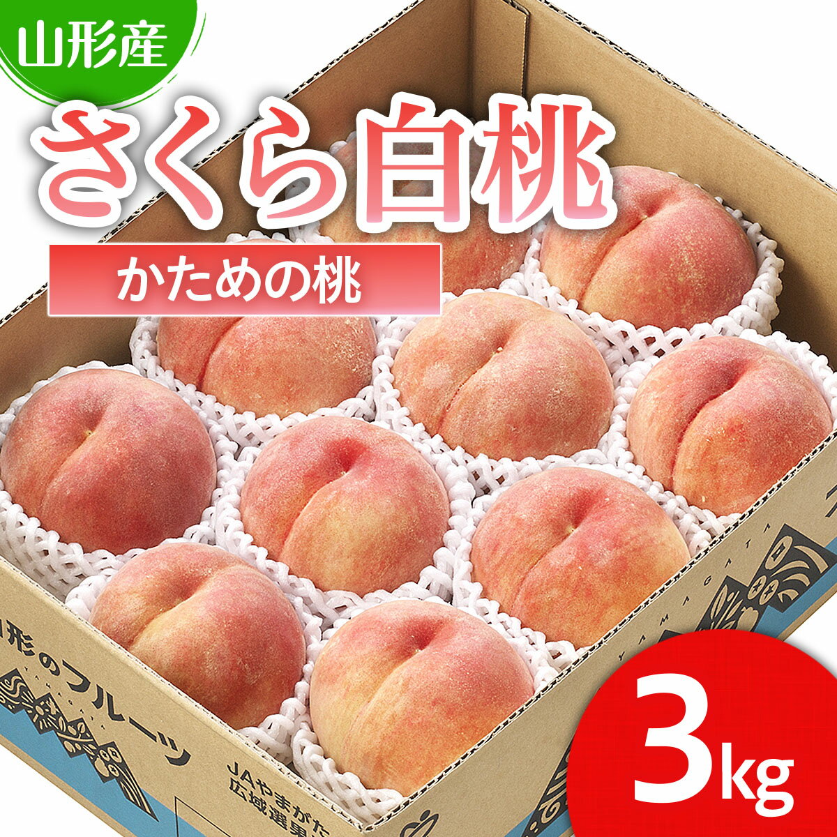 山形市産 桃「さくら白桃」 秀以上 3kg(6玉～9玉)[かための桃] 【令和6年産先行予約】FU22-751 フルーツ くだもの 果物 お取り寄せ 先行予約