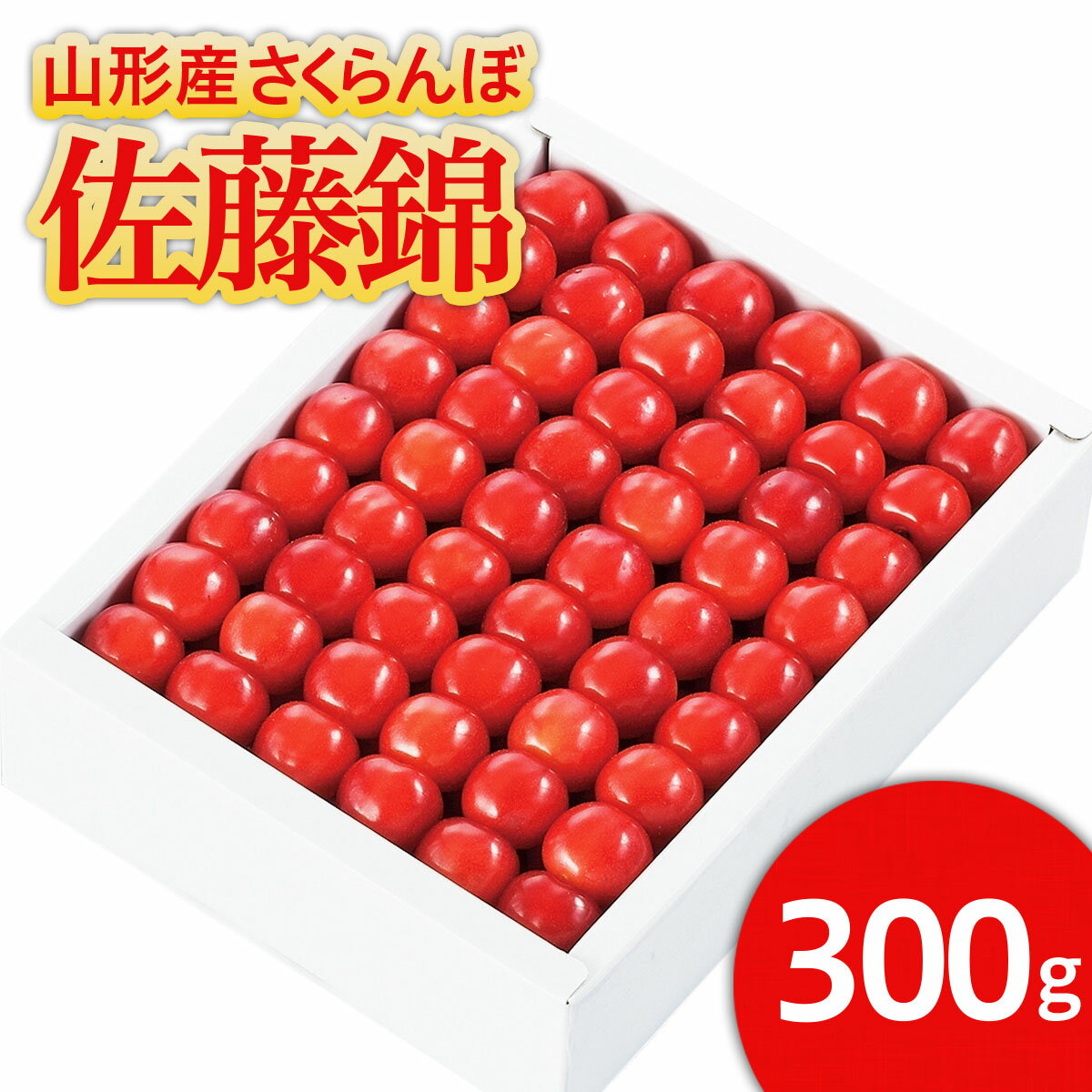 【ふるさと納税】★温室栽培★山形市産 さくらんぼ 「佐藤錦」 L以上 300g 化粧手詰め 【令和6年産先行予約】FU21-068 フルーツ くだもの 果物 お取り寄せ 先行予約