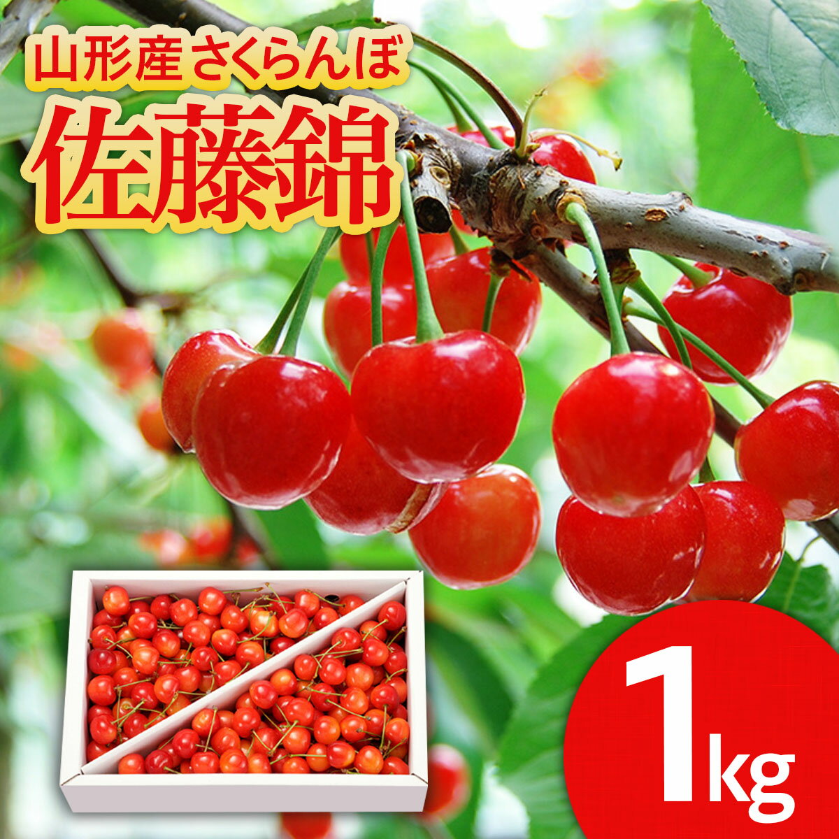 ڤդ뤵ǼǡۻΤ ƣ 1kg Lʾ Х 6ǯͽFU21-623 ե롼  ʪ ...