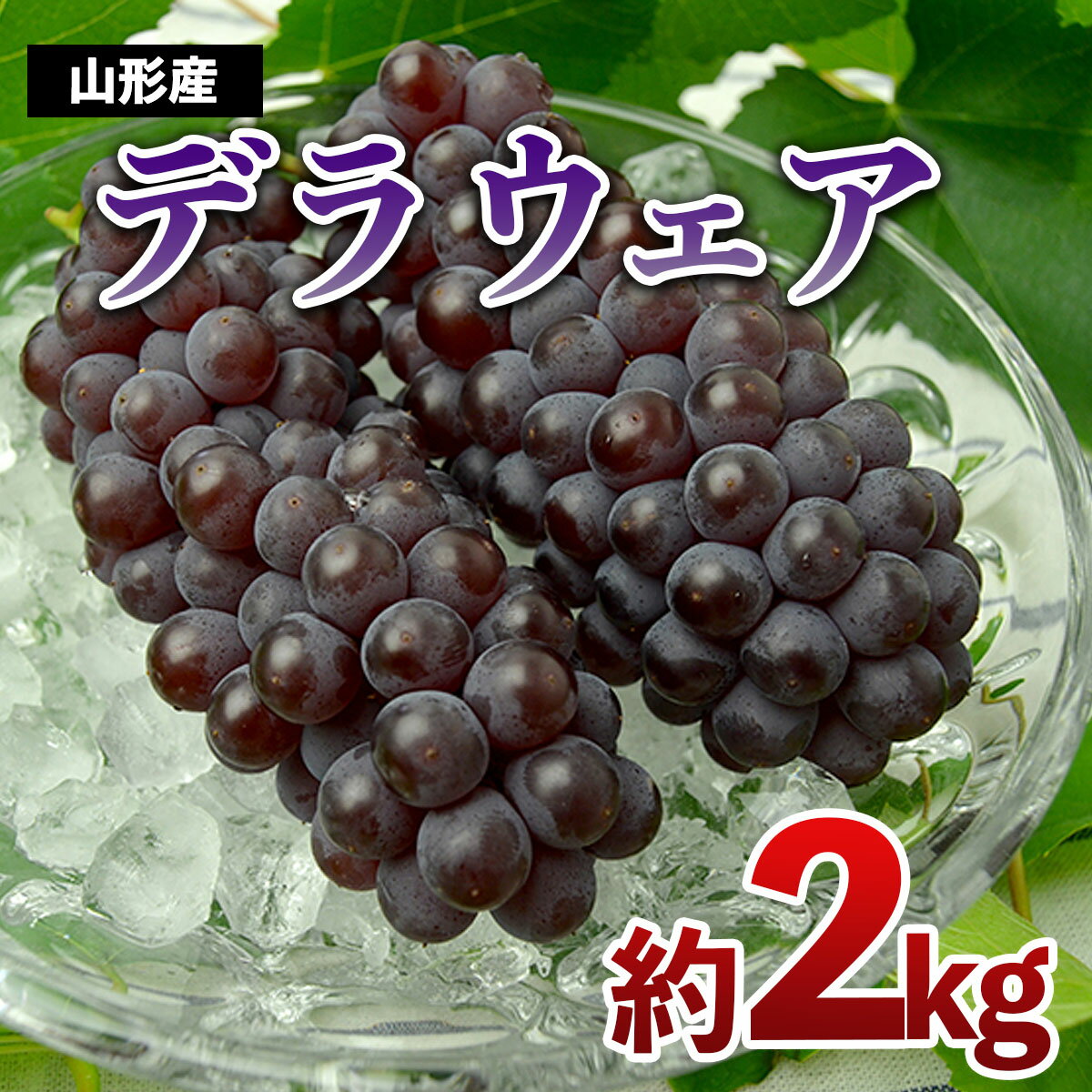 山形のぶどう デラウエア 約2kg(L〜3L/10〜16房) [令和6年産先行予約]FU21-640 フルーツ くだもの 果物 お取り寄せ 先行予約