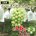 18位! 口コミ数「21件」評価「3.71」厳選 大粒 シャインマスカット 秀品 2房～3房入り(約1.6kg～2.1kg)【令和6年産先行予約】 FU21-644 フルーツ くだもの･･･ 