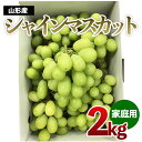 1位! 口コミ数「169件」評価「3.79」【ご家庭用】シャインマスカット 約2kg 1箱【令和6年産先行予約】FU21-645 フルーツ くだもの 果物 お取り寄せ 先行予約 訳あり