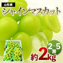 【ふるさと納税】山形のシャインマスカット 秀品 約2kg(2～5房) 【令和6年産先行予約】FU21-649 フルーツ くだもの 果物 お取り寄せ 先行予約